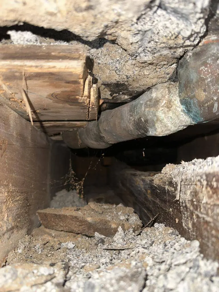 Under the bathroom floor before work began, showing the original drain line and a split joist end